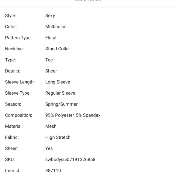 Floral Mesh Bodysuit without the Lingerie Set - Picture 5 of 6